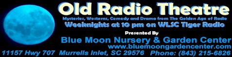 http://www.tigerradio.com/imagesBlueMoon-OldRadio3.jpg (31454 bytes)