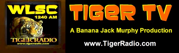 TigerTV02.jpg (35502 bytes)