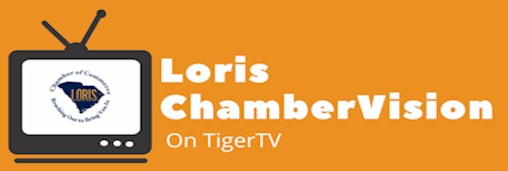 chambervision-tigertv2.jpg (16729 bytes)