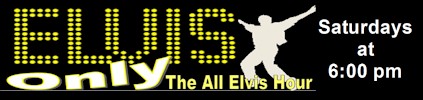elvisonlybanner.jpg (19755 bytes)